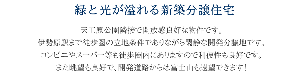緑と光が溢れる新築分譲住宅